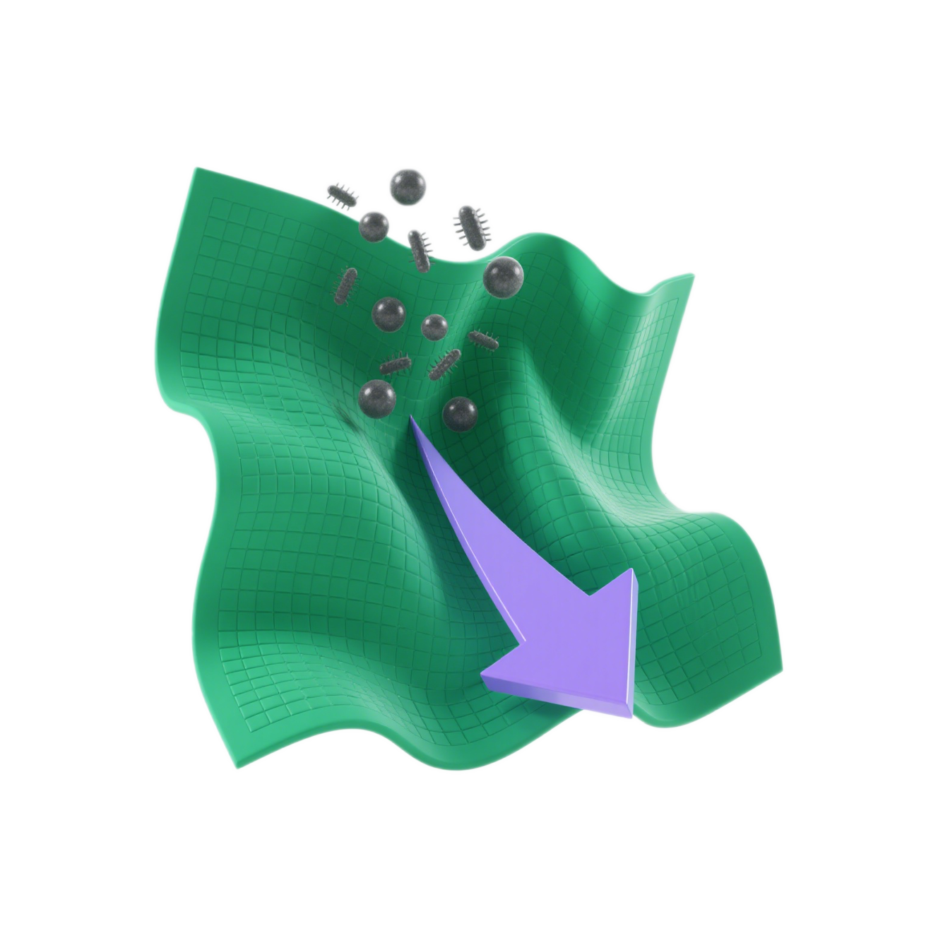 抗菌功能结构示意